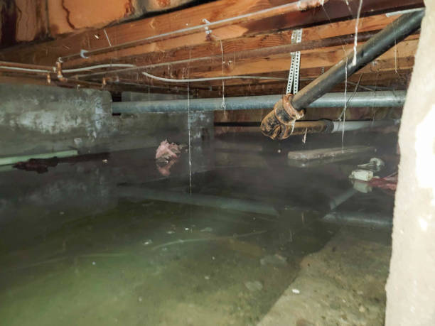 Best Emergency water damage restoration  in Glespie, IL