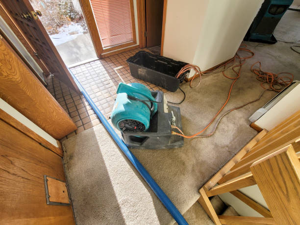 Best 24-hour water damage restoration  in Glespie, IL