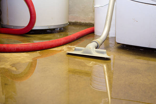 Best Local water damage restoration  in Glespie, IL